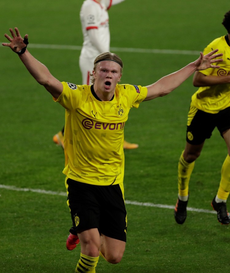 但這次新蒲 但這次新蒲