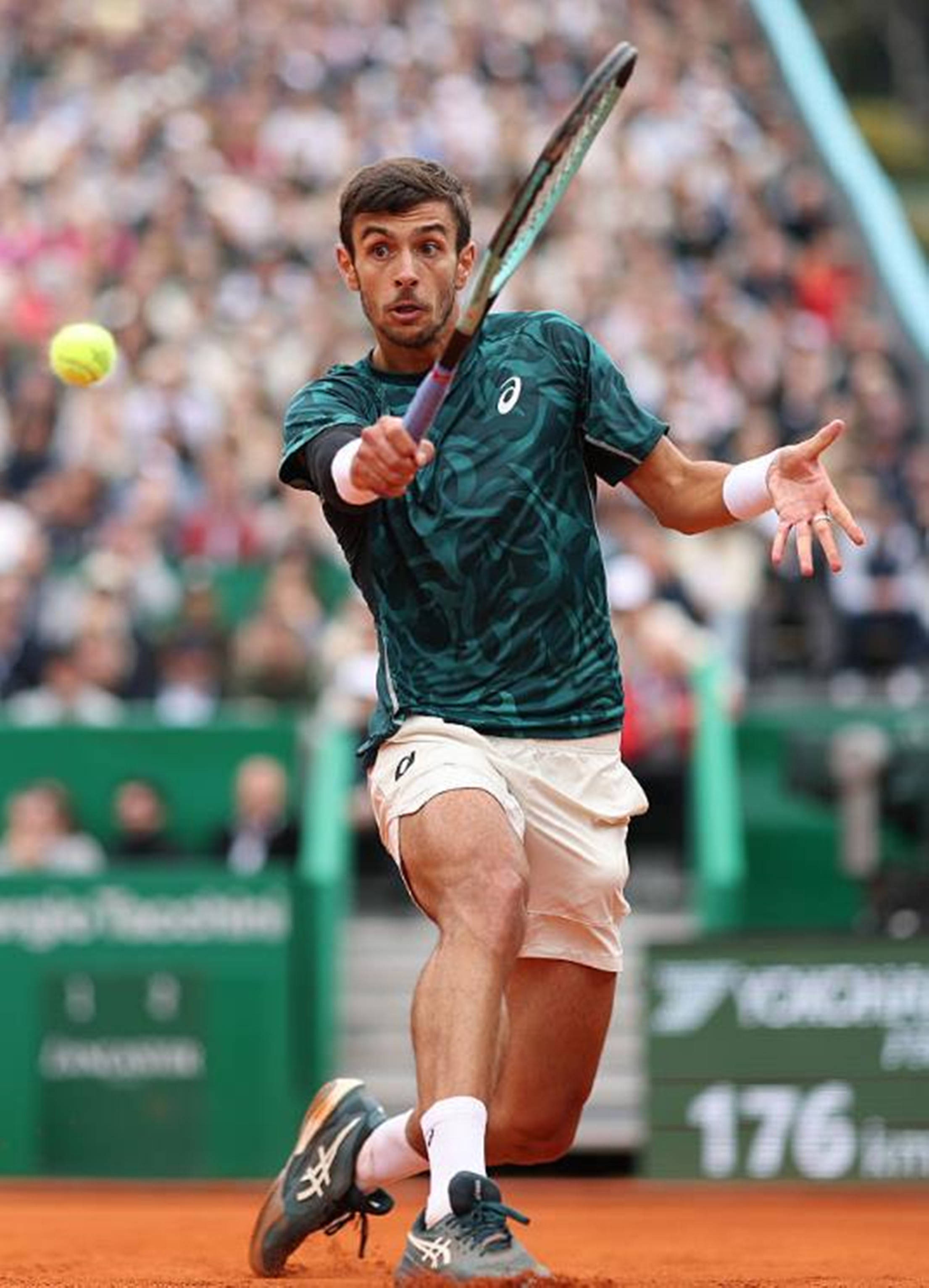 在海港的新 在海港的新